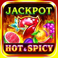 Mega Fortune Mega Fortune slot preview